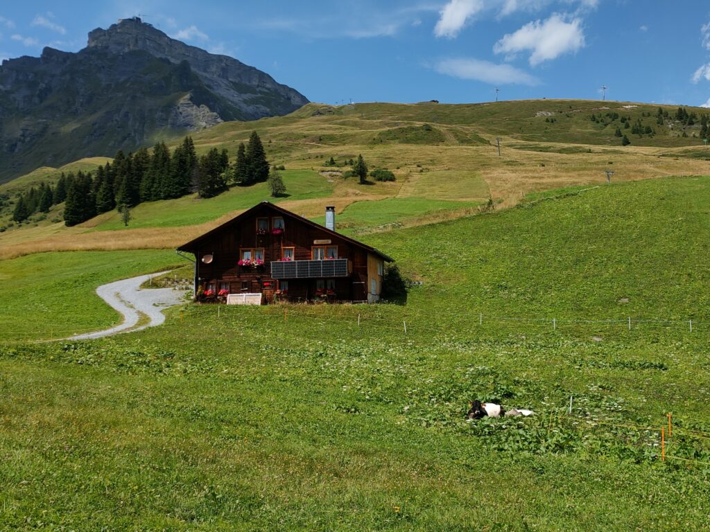Typical house with cow included!