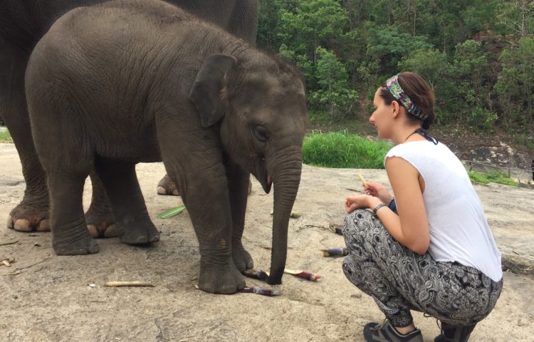 Me and a baby elephant