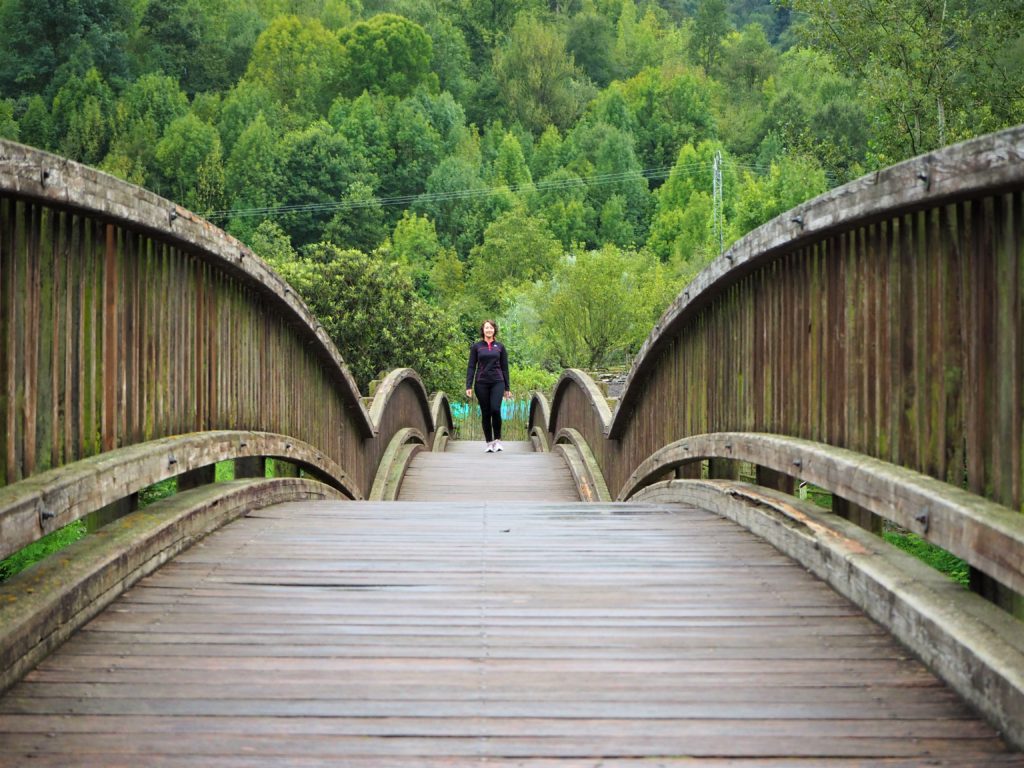 Bridge to Castellfollit de la Roca