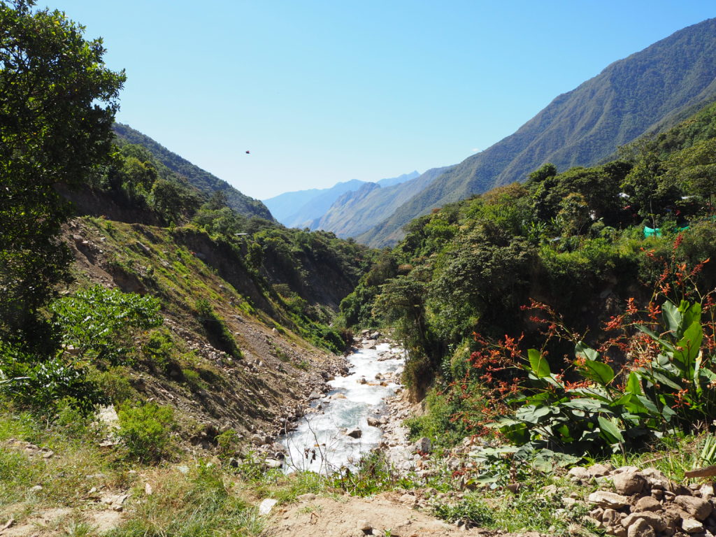 Views along the trail