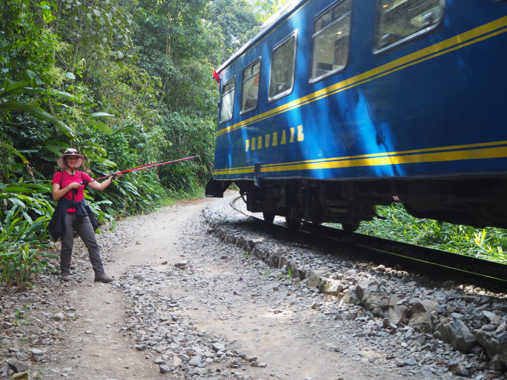 Machu Picchu train