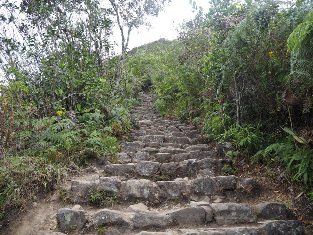 To Machu Picchu Mountain