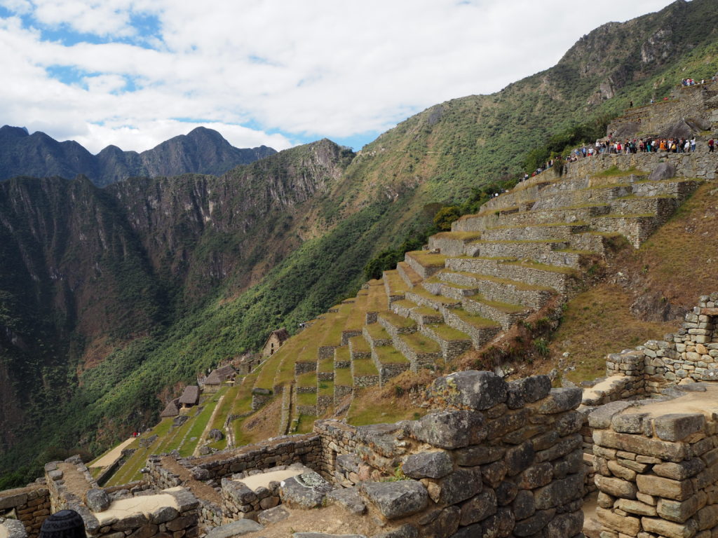 The Machu Picchu ruins