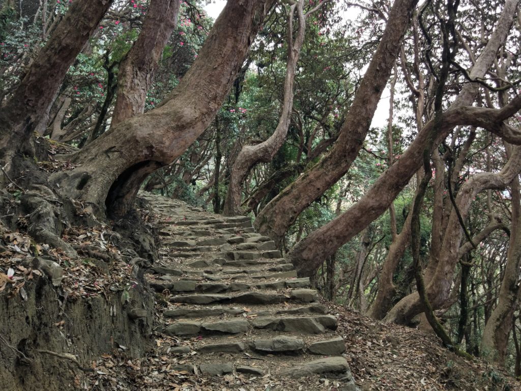 The steps from Ulleri to Ghorepani