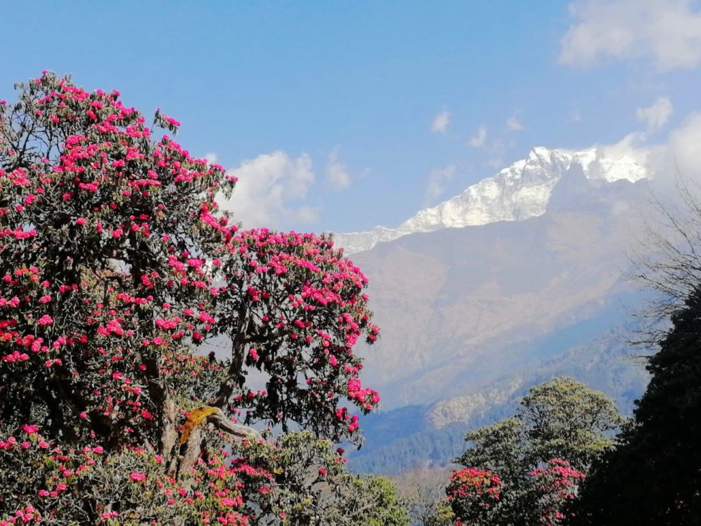 Arriving at Tadapani