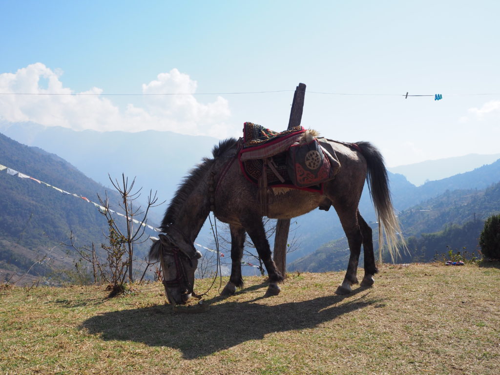 Annapurna Base Camp trek views