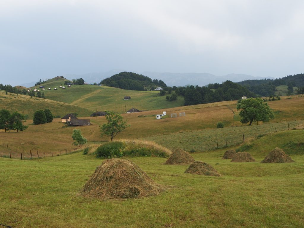 Romanian Carpathian mountains