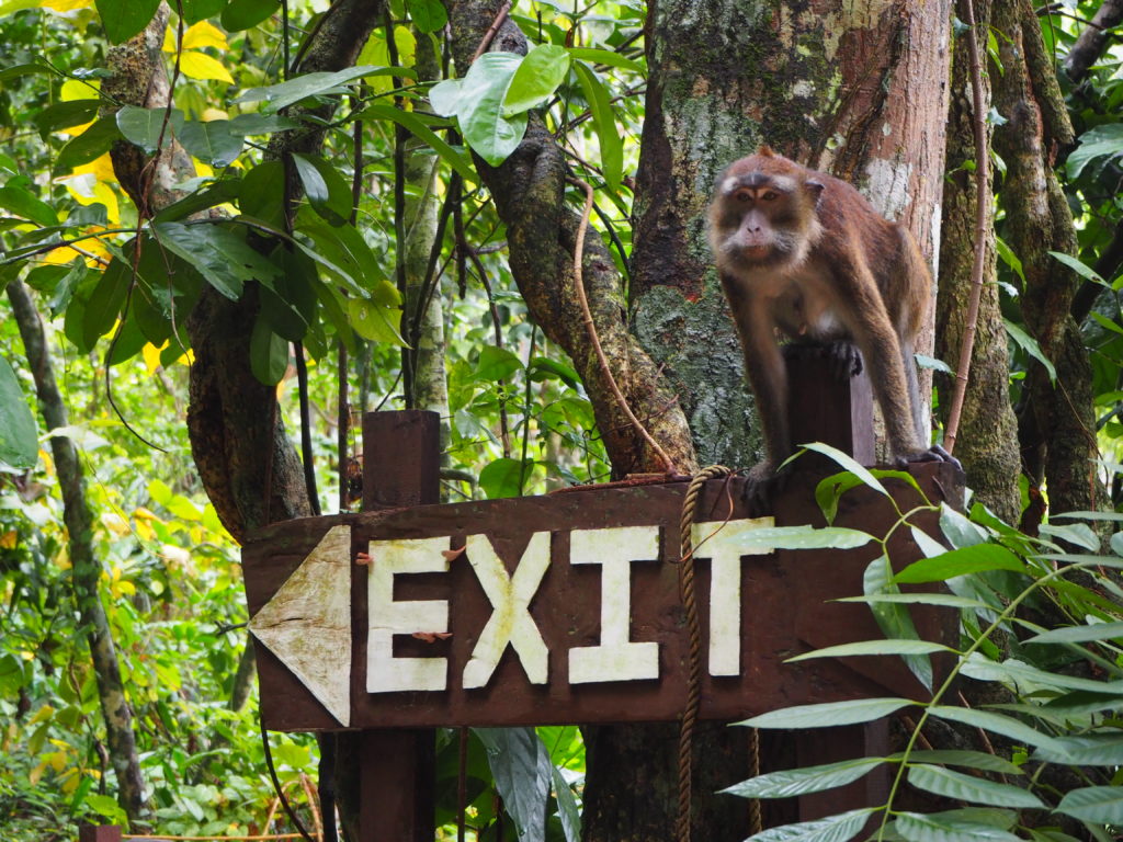 The fauna of the Philippines