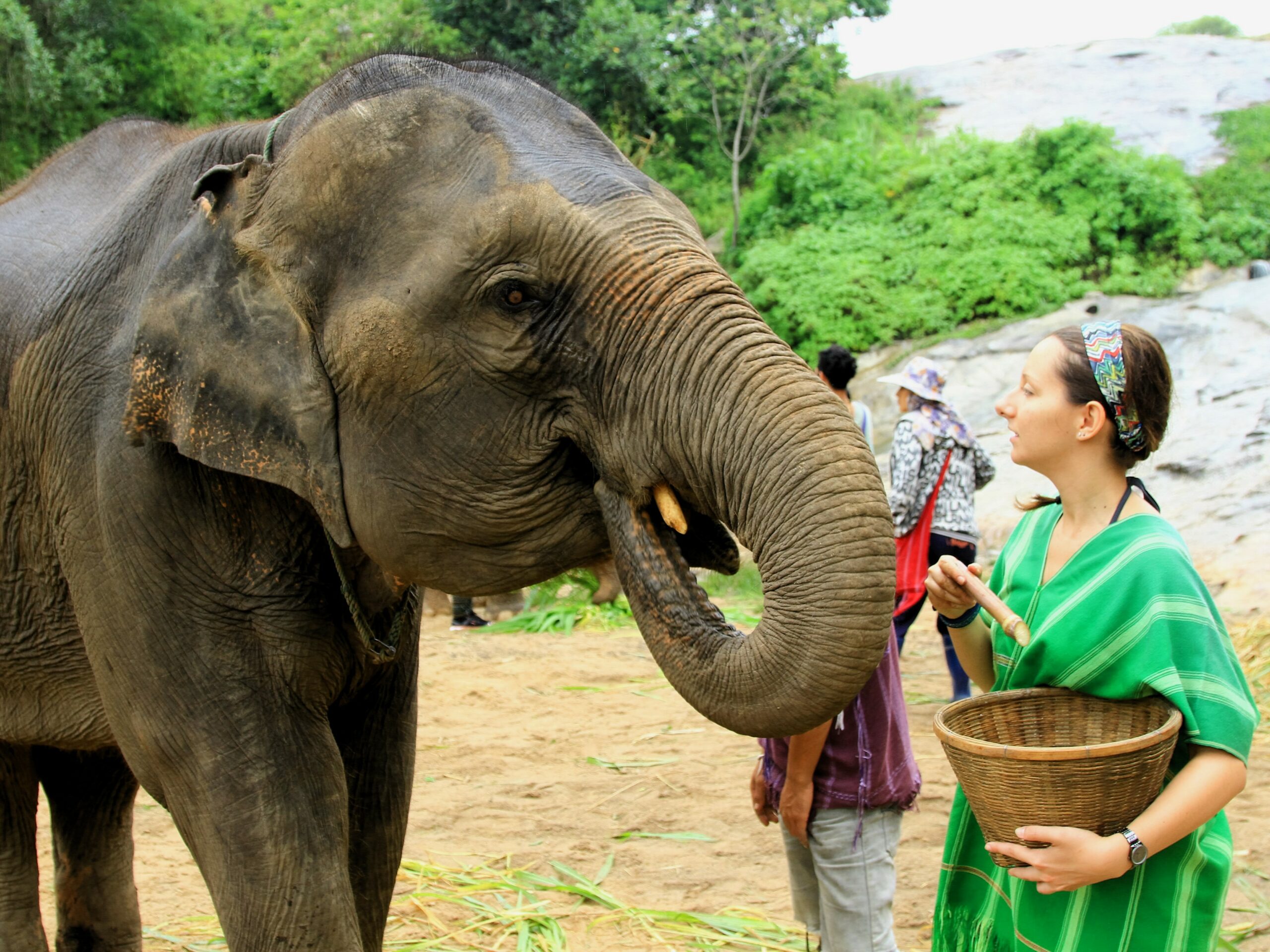 Elephant Sanctuary