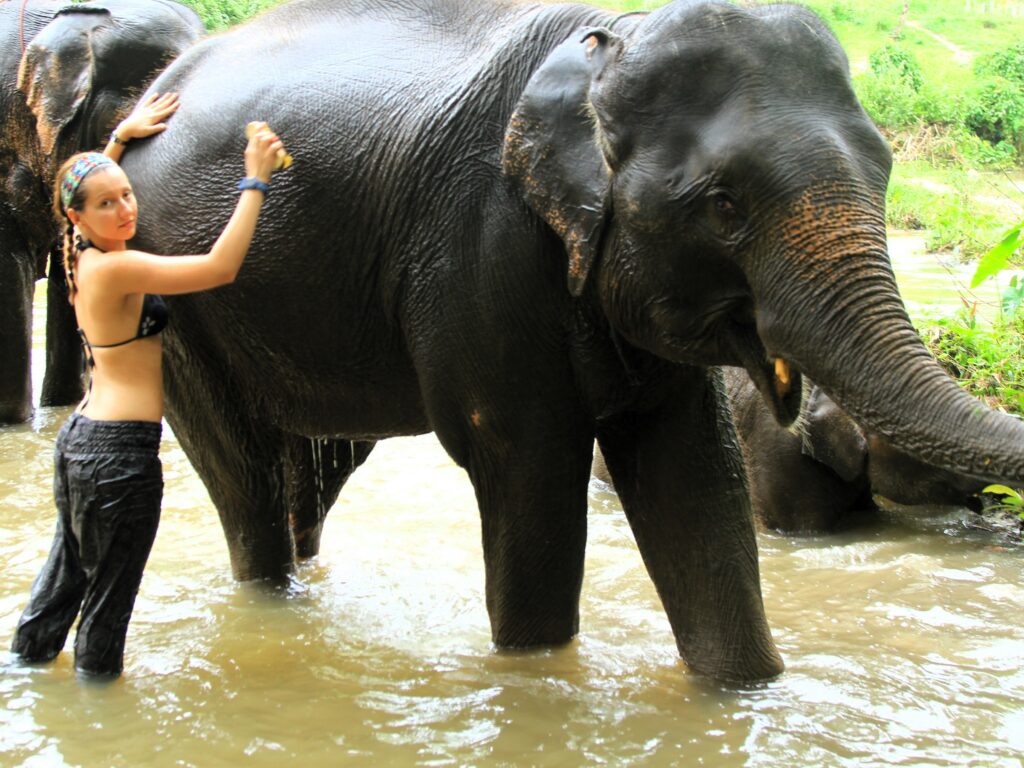 Elephant Sanctuary