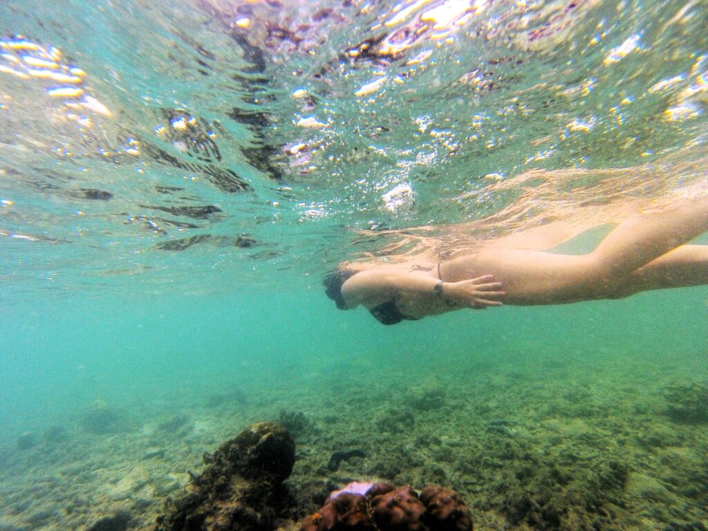 Snorkeling in Koh Tao